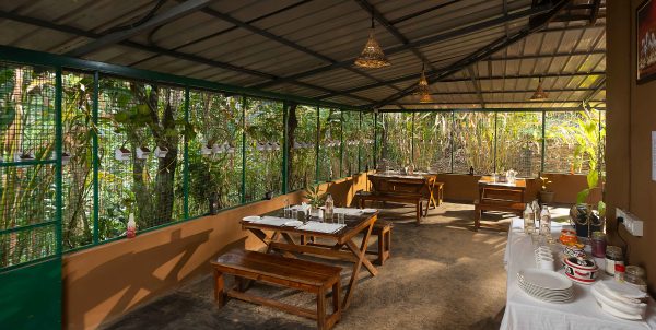 Unique Tree House and River View Rooms in Munnar - Image 6