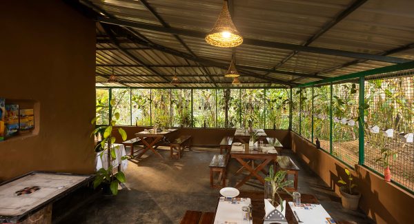 Unique Tree House and River View Rooms in Munnar - Image 7