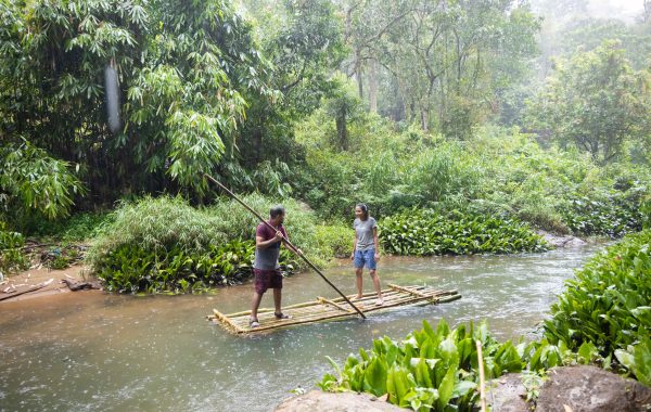 Unique Tree House and River View Rooms in Munnar - Image 8