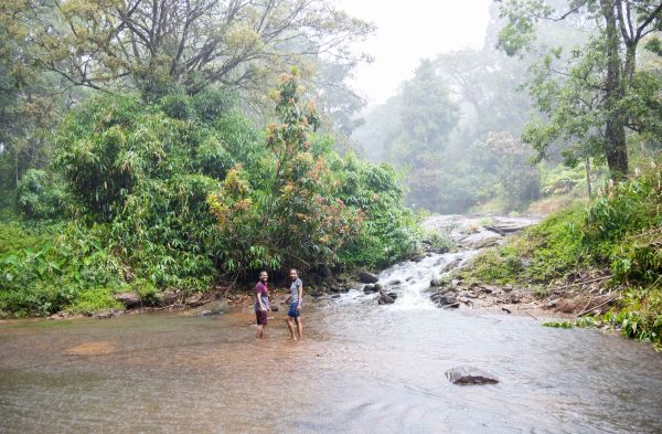 Unique Tree House and River View Rooms in Munnar - Image 9
