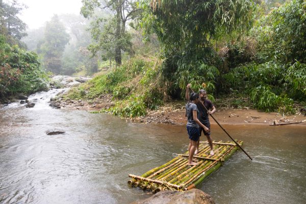 Unique Tree House and River View Rooms in Munnar - Image 10