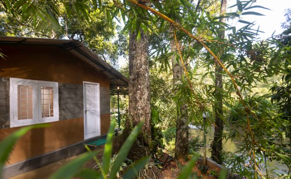 Unique Tree House and River View Rooms in Munnar - Image 11