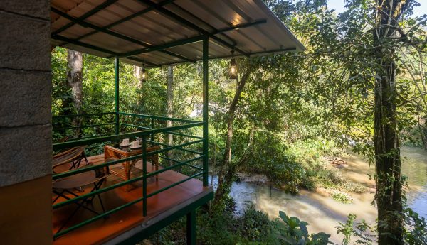 Unique Tree House and River View Rooms in Munnar - Image 15