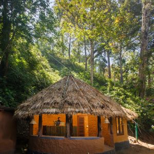 Unique Tree House and River View Rooms in Munnar