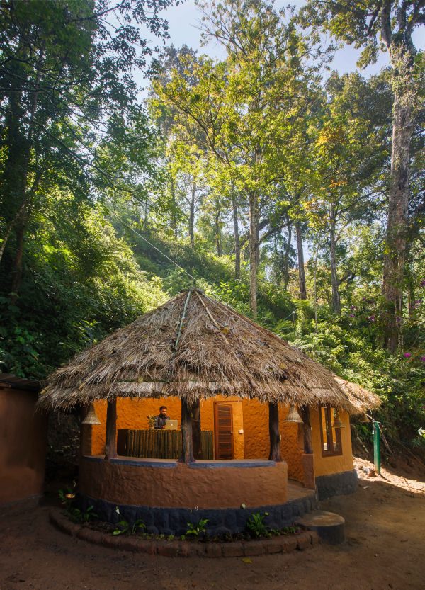Unique Tree House and River View Rooms in Munnar