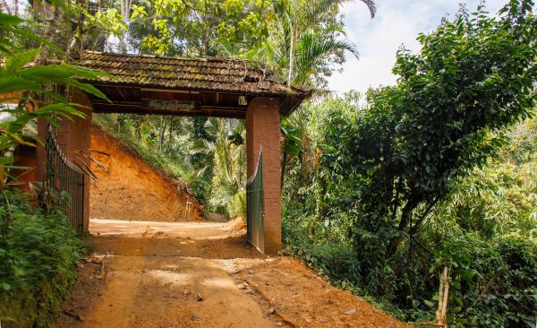 Unique Tree House and River View Rooms in Munnar - Image 18