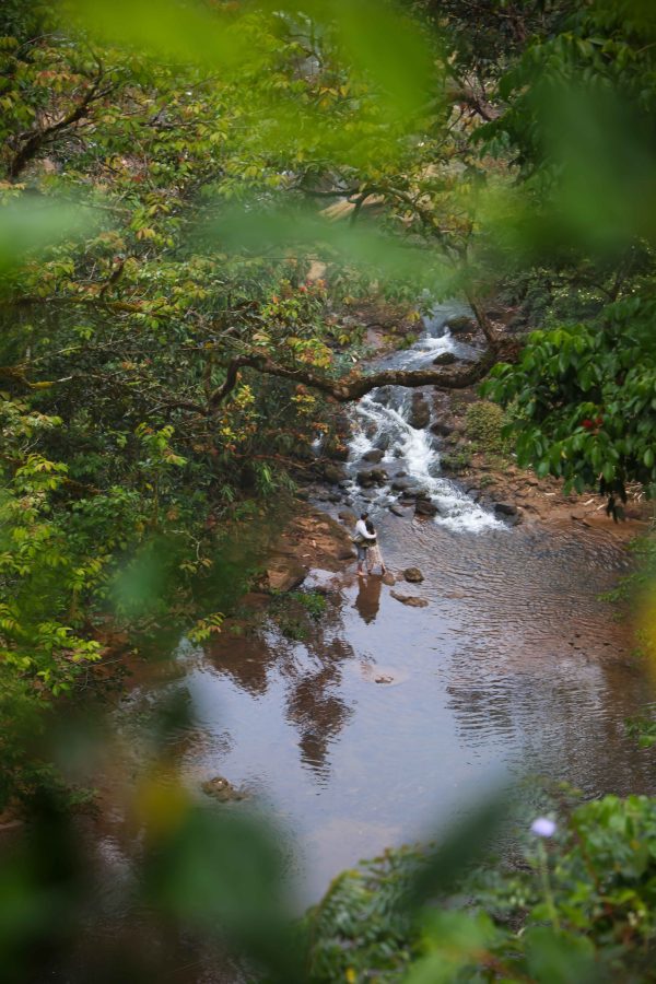 Unique Tree House and River View Rooms in Munnar - Image 4