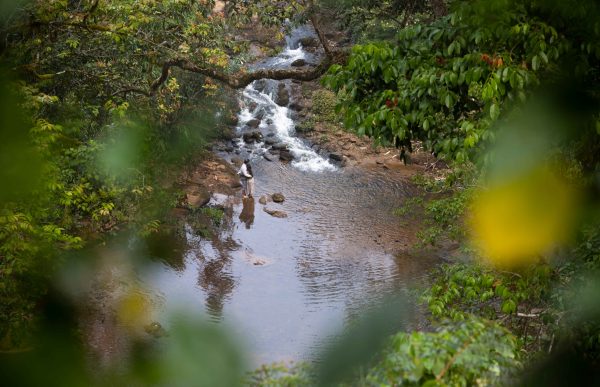 Unique Tree House and River View Rooms in Munnar - Image 5
