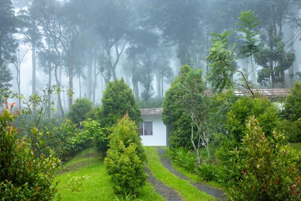 cottage in Poolside Villa Stay in Chathurangapara