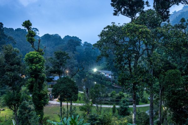 Poolside Villa Stay in Chathurangapara