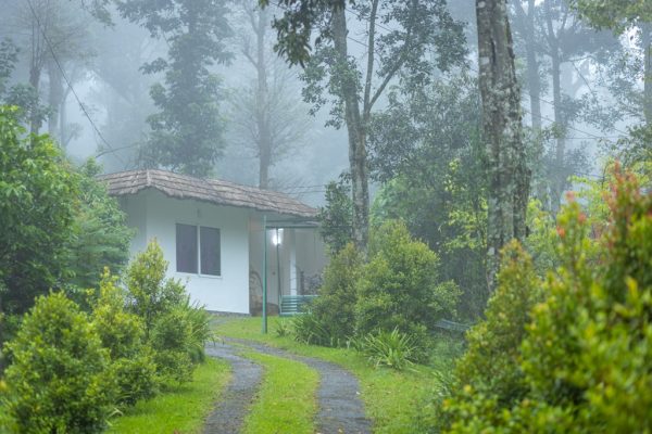 Poolside Villa Stay in Chathurangapara
