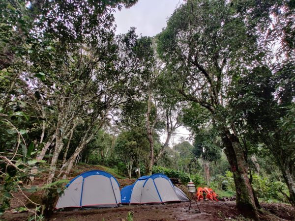 Munnar Iwa Tentvilla Kolukkumalai Camp Stay - Image 16
