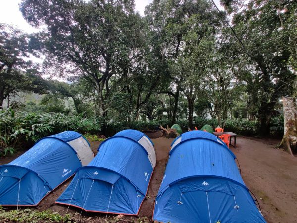 Munnar Iwa Tentvilla Kolukkumalai Camp Stay - Image 20