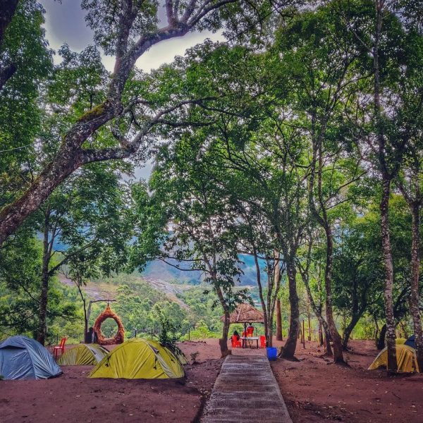 Munnar Iwa Tentvilla Kolukkumalai Camp Stay - Image 14