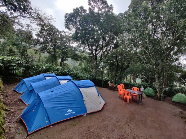 Munnar Iwa Tentvilla Kolukkumalai Camp Stay - Image 2
