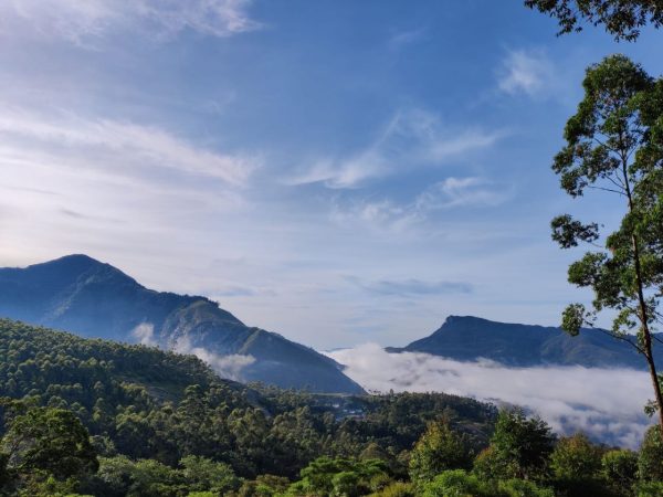 Munnar Iwa Tentvilla Kolukkumalai Camp Stay - Image 4