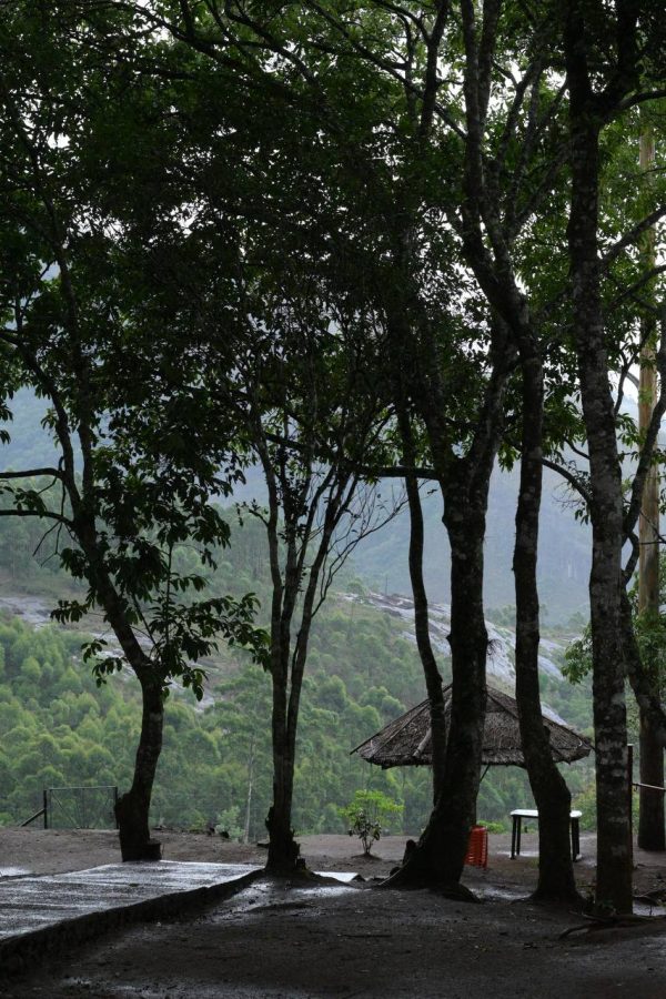Munnar Iwa Tentvilla Kolukkumalai Camp Stay - Image 9