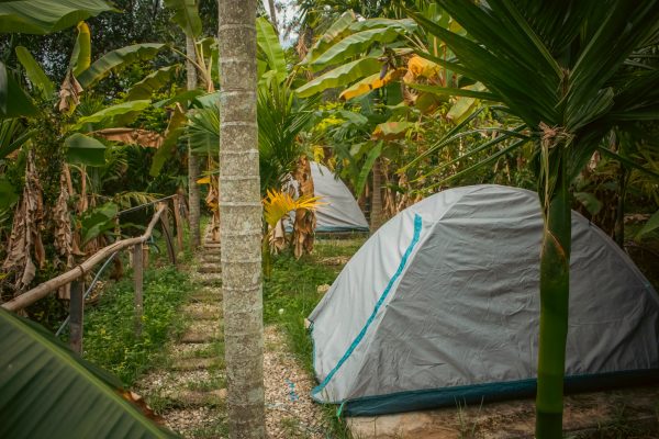 Traditional Mud House and Tree House Homestay Marayoor - Image 12