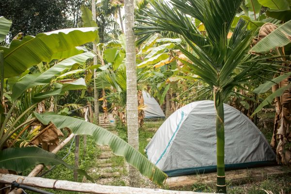 Traditional Mud House and Tree House Homestay Marayoor - Image 16
