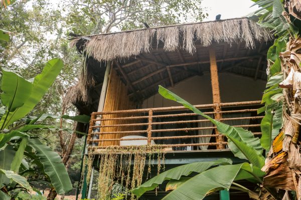 Traditional Mud House and Tree House Homestay Marayoor - Image 17