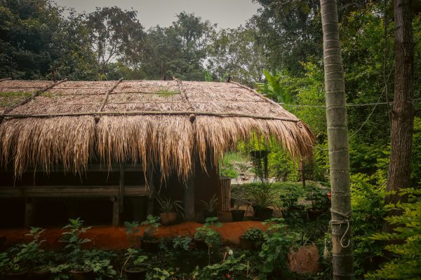 Traditional Mud House and Tree House Homestay Marayoor - Image 19