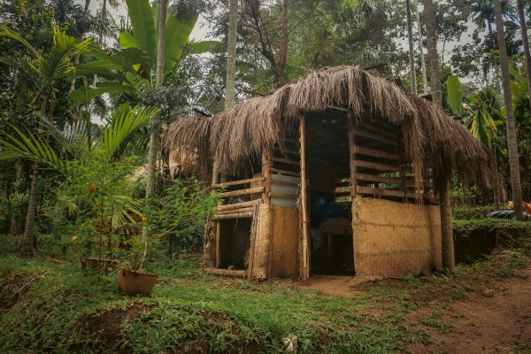 Traditional Mud House and Tree House Homestay Marayoor - Image 20