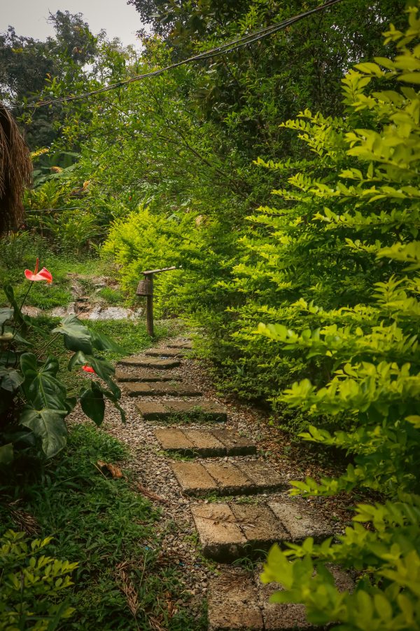 Traditional Mud House and Tree House Homestay Marayoor - Image 21