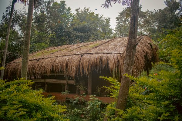 Traditional Mud House and Tree House Homestay Marayoor - Image 4