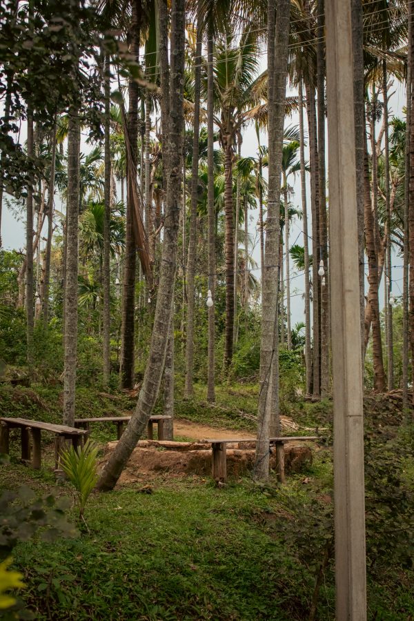 Traditional Mud House and Tree House Homestay Marayoor - Image 23