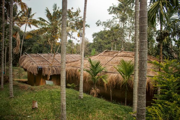 Traditional Mud House and Tree House Homestay Marayoor - Image 24