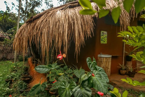 Traditional Mud House and Tree House Homestay Marayoor - Image 8