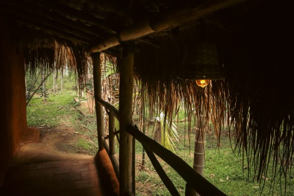Traditional Mud House and Tree House Homestay Marayoor - Image 10