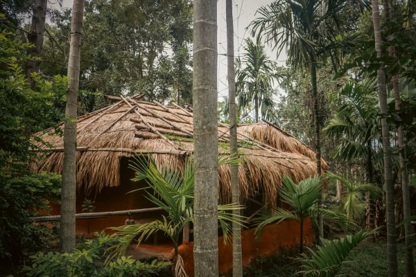 Traditional Mud House and Tree House Homestay Marayoor - Image 11