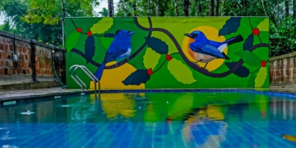 Jungle Resort with Swimming Pool in Tholpetty - Image 5