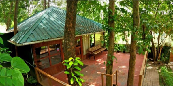 Jungle Resort with Swimming Pool in Tholpetty - Image 3