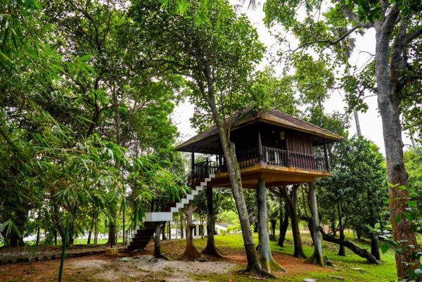 Ayurvedic Beach Resort in Poovar - Image 40