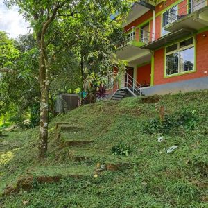 Best Budget Resort in Kerala with Mountain Views