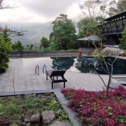 265Sattva The Awakening Garden