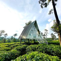 A-frame-stay-Wayanad