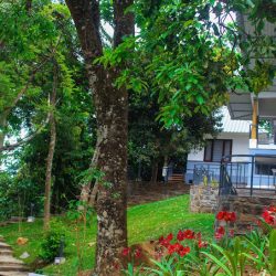 Golden fern Kanthallor exterior