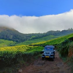 Kolukkumalai Tea Plantation Jeep Safari
