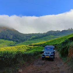 Kolukkumalai Tea Plantation Jeep Safari