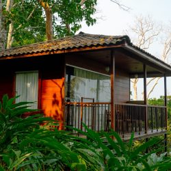 Tree-House-Cottage-in-Wayanad.jpg