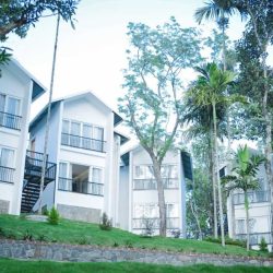 mwr-thekkady4.jpg
